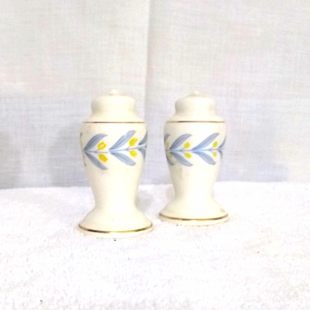 W S George Dinnerware Radisson Apollo Pattern Salt & Pepper